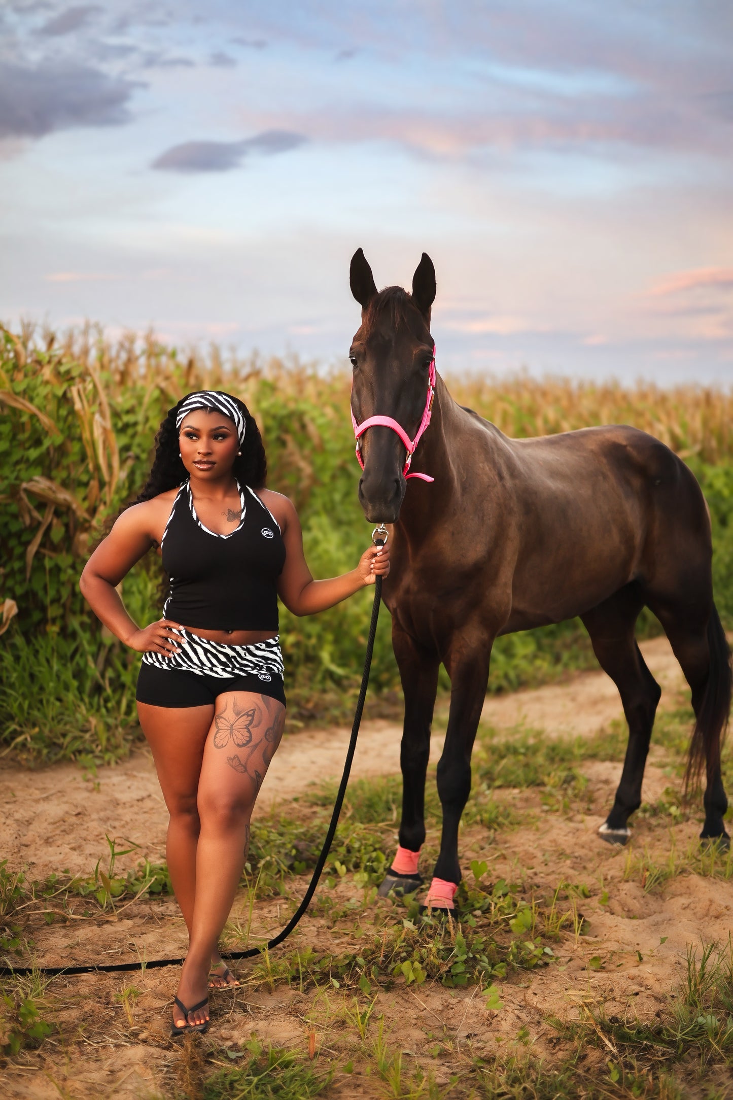 Black Zebra Set