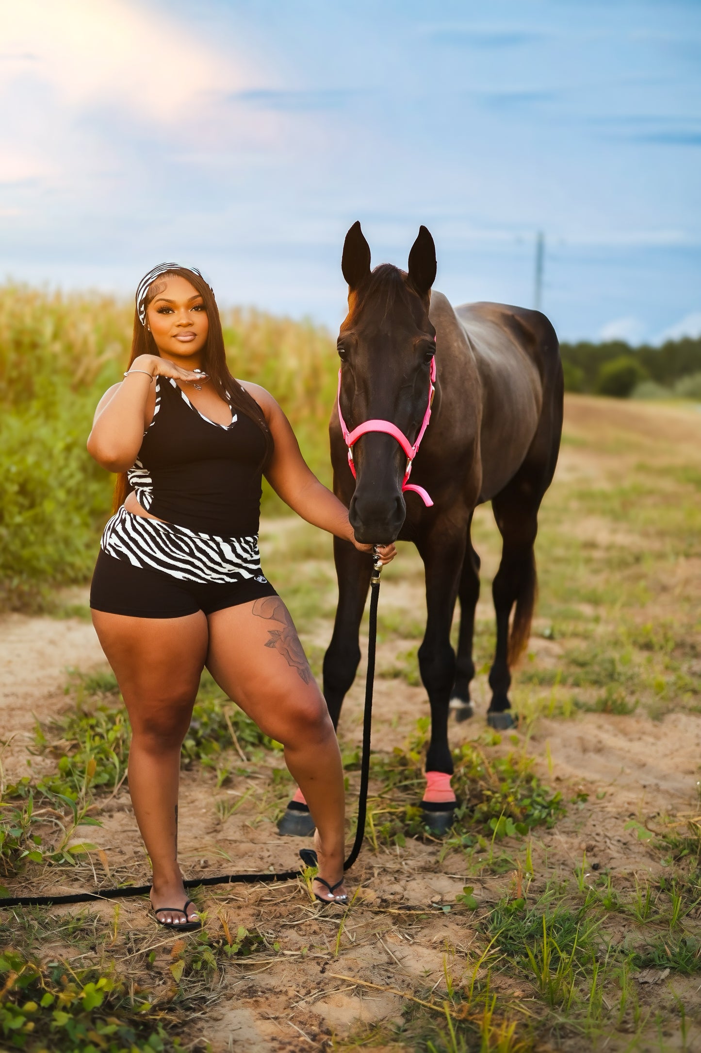 Black Zebra Set